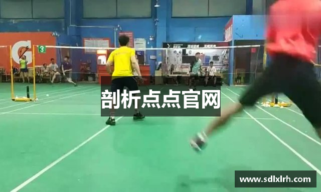 剖析点点官网